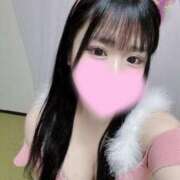 ヒメ日記 2025/08/17 15:03 投稿 ぴあの 恋するバニー