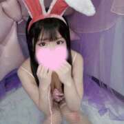 ヒメ日記 2025/09/14 12:03 投稿 ぴあの 恋するバニー