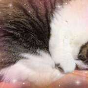 ヒメ日記 2025/05/17 05:27 投稿 夏目（なつめ） 熟女の風俗最終章 大宮店