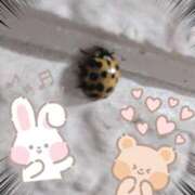 ヒメ日記 2025/05/27 17:58 投稿 夏目（なつめ） 熟女の風俗最終章 大宮店