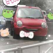 ヒメ日記 2025/10/10 11:05 投稿 夏目（なつめ） 熟女の風俗最終章 大宮店