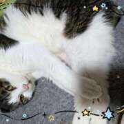 ヒメ日記 2025/12/04 10:55 投稿 夏目（なつめ） 熟女の風俗最終章 大宮店