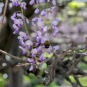 ヒメ日記 2026/05/15 13:25 投稿 夏目（なつめ） 熟女の風俗最終章 大宮店