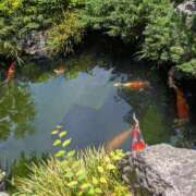 ヒメ日記 2026/06/06 08:45 投稿 夏目（なつめ） 熟女の風俗最終章 大宮店