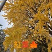 ヒメ日記 2024/12/13 17:33 投稿 ひな 西船人妻花壇