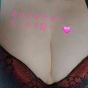 ヒメ日記 2025/02/11 14:01 投稿 ひな 西船人妻花壇