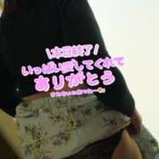 ヒメ日記 2025/02/12 03:00 投稿 ひな 西船人妻花壇