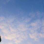 ヒメ日記 2025/03/02 20:31 投稿 ひな 西船人妻花壇