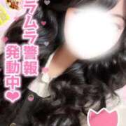 ヒメ日記 2026/02/04 16:18 投稿 りっか 名古屋ちゃんこ