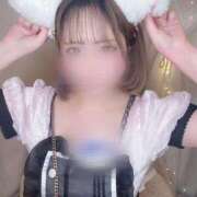 ヒメ日記 2025/10/31 15:54 投稿 おと 横浜シンデレラ（シンデレラグループ）