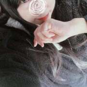 ヒメ日記 2024/12/08 12:34 投稿 星野 さくら 30代40代50代と遊ぶなら博多人妻専科24時