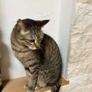 ヒメ日記 2025/09/29 12:25 投稿 星野 さくら 30代40代50代と遊ぶなら博多人妻専科24時