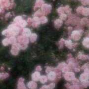 ヒメ日記 2025/03/09 17:48 投稿 むう 新宿ハンドメイド