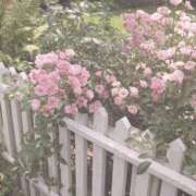 ヒメ日記 2025/03/22 18:02 投稿 むう 新宿ハンドメイド