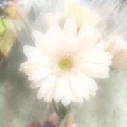 ヒメ日記 2025/05/27 19:35 投稿 むう 新宿ハンドメイド