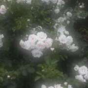 ヒメ日記 2025/06/10 19:46 投稿 むう 新宿ハンドメイド