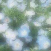 ヒメ日記 2025/07/08 18:27 投稿 むう 新宿ハンドメイド