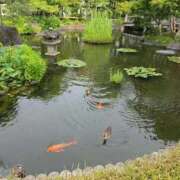 ヒメ日記 2026/06/11 14:44 投稿 ゆず One More 奥様　錦糸町店