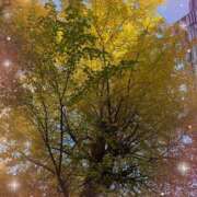 ヒメ日記 2024/12/13 15:21 投稿 小澤ゆな 月の真珠-新宿-