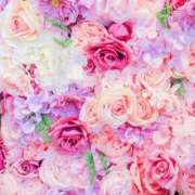 ヒメ日記 2024/12/22 12:28 投稿 小澤ゆな 月の真珠-新宿-