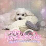 ヒメ日記 2024/12/23 18:48 投稿 小澤ゆな 月の真珠-新宿-