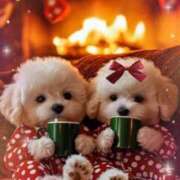 ヒメ日記 2024/12/23 22:51 投稿 小澤ゆな 月の真珠-新宿-