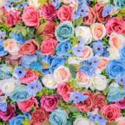 ヒメ日記 2024/12/24 01:08 投稿 小澤ゆな 月の真珠-新宿-