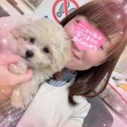 ヒメ日記 2024/12/24 10:38 投稿 小澤ゆな 月の真珠-新宿-