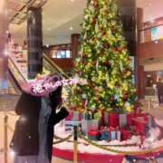 ヒメ日記 2024/12/24 12:38 投稿 小澤ゆな 月の真珠-新宿-