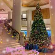 ヒメ日記 2024/12/24 18:58 投稿 小澤ゆな 月の真珠-新宿-