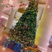 ヒメ日記 2024/12/24 22:48 投稿 小澤ゆな 月の真珠-新宿-