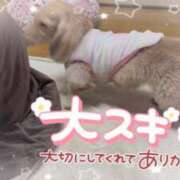 ヒメ日記 2024/12/31 17:11 投稿 小澤ゆな 月の真珠-新宿-