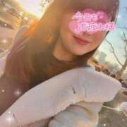 ヒメ日記 2025/01/09 17:08 投稿 小澤ゆな 月の真珠-新宿-