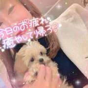 ヒメ日記 2025/01/09 19:28 投稿 小澤ゆな 月の真珠-新宿-