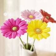 ヒメ日記 2025/02/01 22:38 投稿 小澤ゆな 月の真珠-新宿-