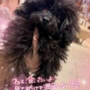 ヒメ日記 2025/02/03 06:18 投稿 小澤ゆな 月の真珠-新宿-