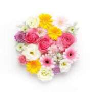 ヒメ日記 2025/02/06 20:28 投稿 小澤ゆな 月の真珠-新宿-