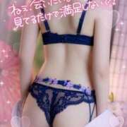 ヒメ日記 2025/02/15 15:21 投稿 小澤ゆな 月の真珠-新宿-