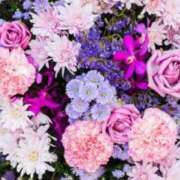 ヒメ日記 2025/03/01 14:28 投稿 小澤ゆな 月の真珠-新宿-