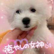 ヒメ日記 2025/03/17 21:04 投稿 小澤ゆな 月の真珠-新宿-