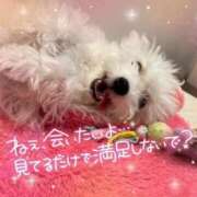 ヒメ日記 2025/03/26 17:18 投稿 小澤ゆな 月の真珠-新宿-