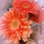 ヒメ日記 2025/03/28 17:18 投稿 小澤ゆな 月の真珠-新宿-