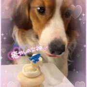 ヒメ日記 2025/03/31 12:19 投稿 小澤ゆな 月の真珠-新宿-