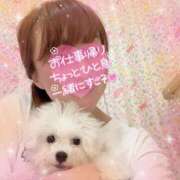 ヒメ日記 2025/04/02 17:37 投稿 小澤ゆな 月の真珠-新宿-