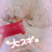 ヒメ日記 2025/04/03 15:11 投稿 小澤ゆな 月の真珠-新宿-