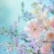 ヒメ日記 2025/04/15 09:58 投稿 小澤ゆな 月の真珠-新宿-