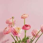 ヒメ日記 2025/04/22 17:28 投稿 小澤ゆな 月の真珠-新宿-