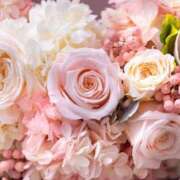 ヒメ日記 2025/04/24 10:48 投稿 小澤ゆな 月の真珠-新宿-