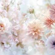 ヒメ日記 2025/04/24 21:21 投稿 小澤ゆな 月の真珠-新宿-