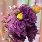 ヒメ日記 2025/04/25 19:08 投稿 小澤ゆな 月の真珠-新宿-